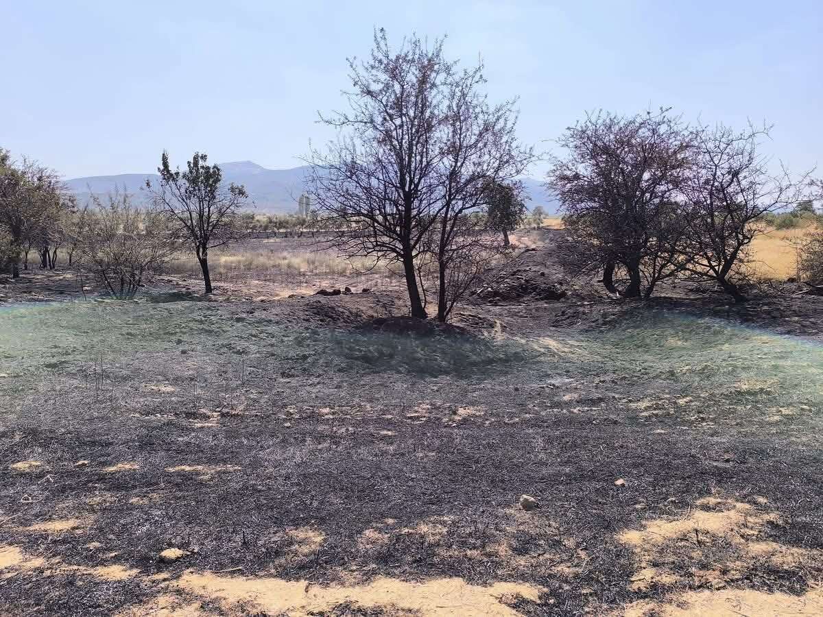 whatsapp-image-2025-09-12-at-23-01-01