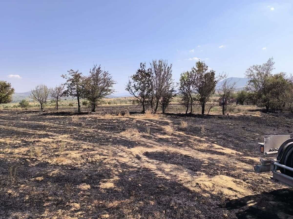 whatsapp-image-2025-09-12-at-23-01-02