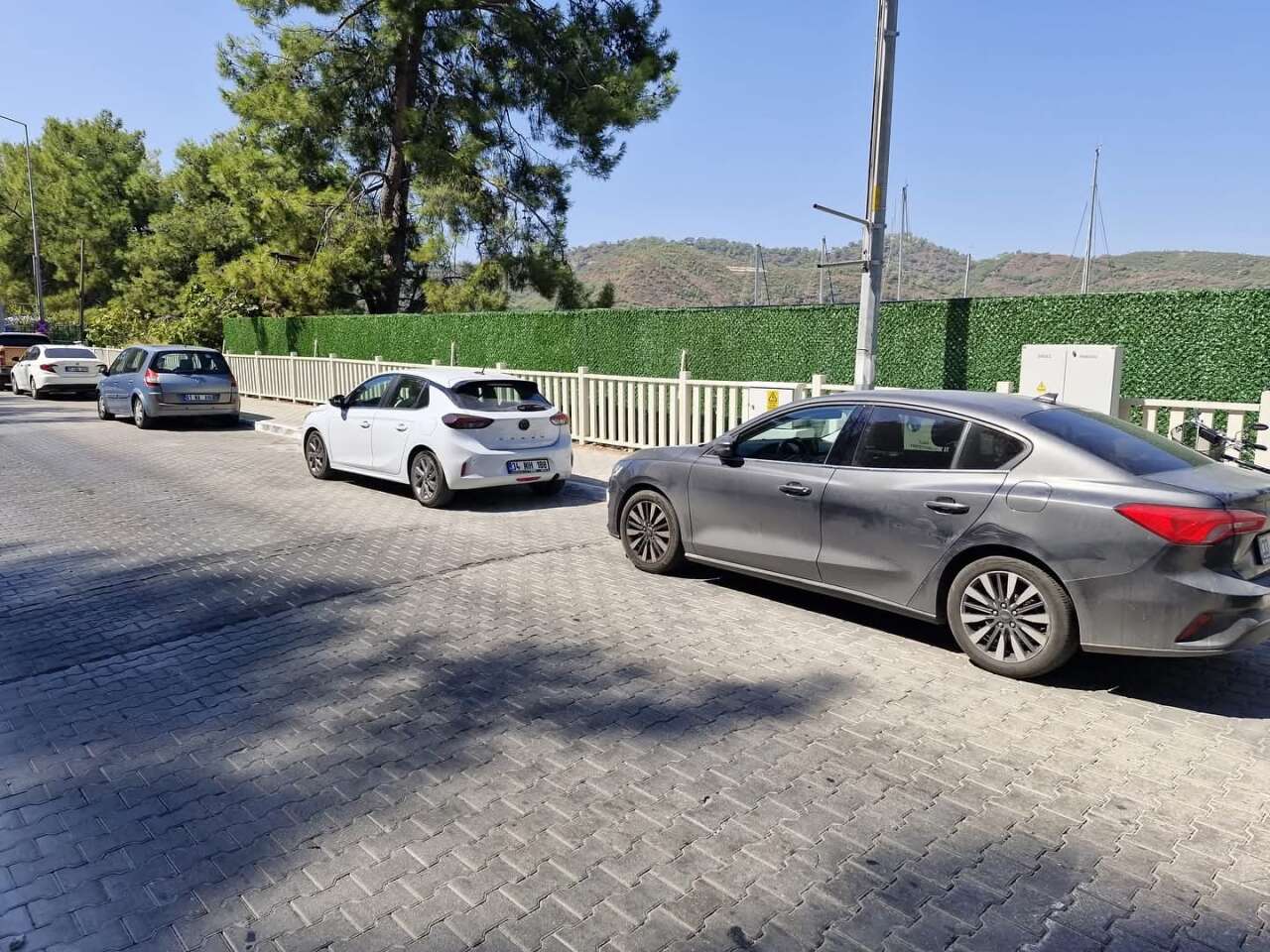 whatsapp-image-2025-09-14-at-14-57-50