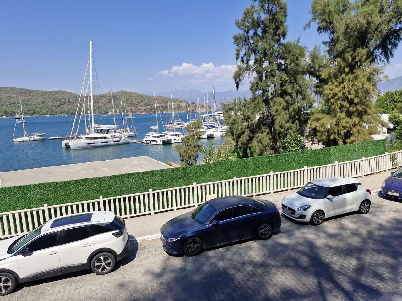 whatsapp-image-2025-09-14-at-14-57-51