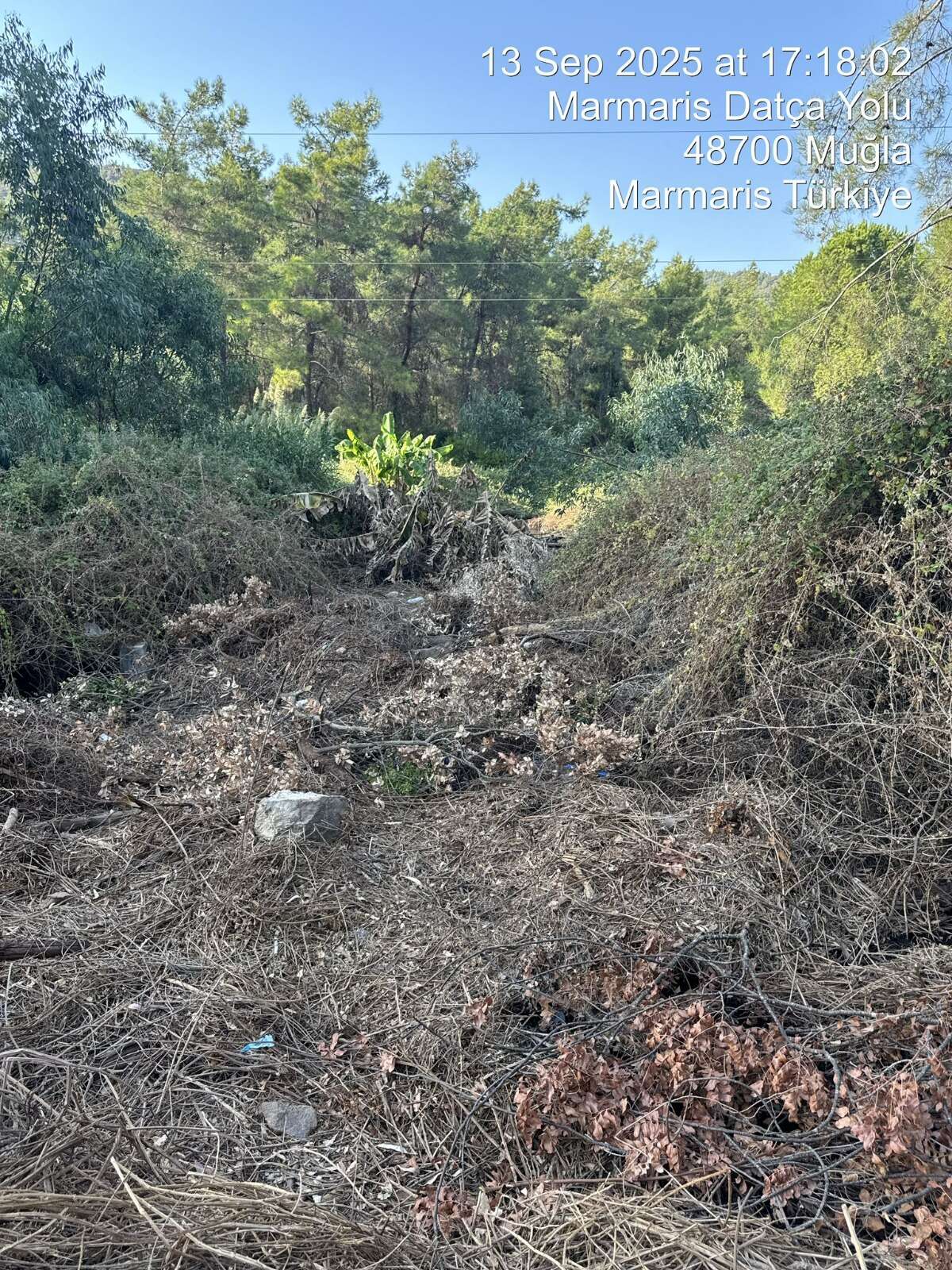 whatsapp-image-2025-09-15-at-10-55-58-1