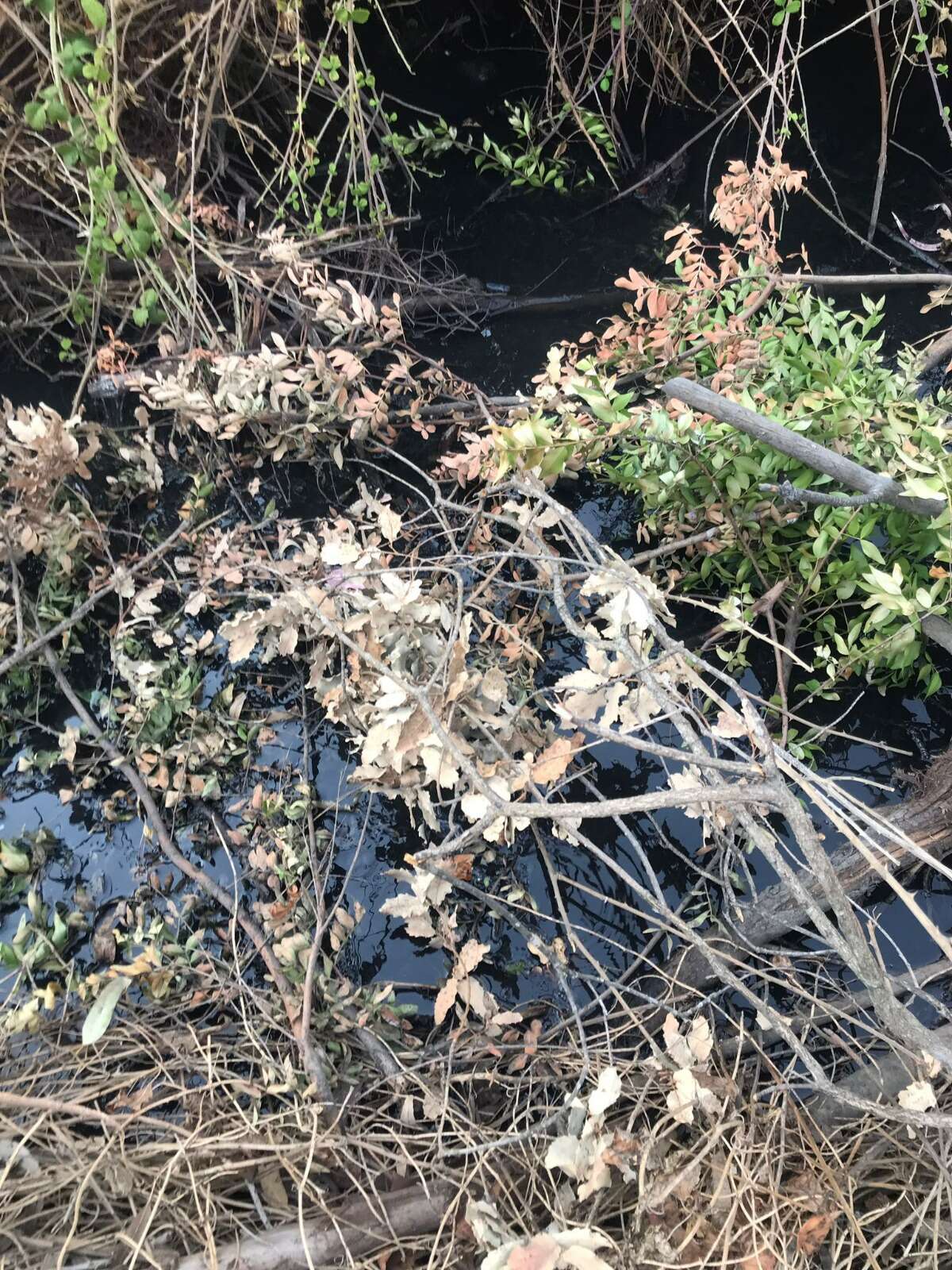 whatsapp-image-2025-09-15-at-10-55-58-3