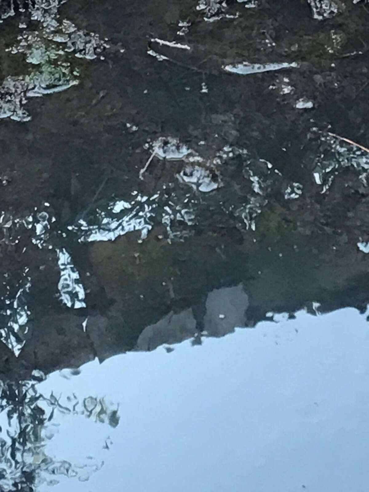 whatsapp-image-2025-09-15-at-10-55-59-2