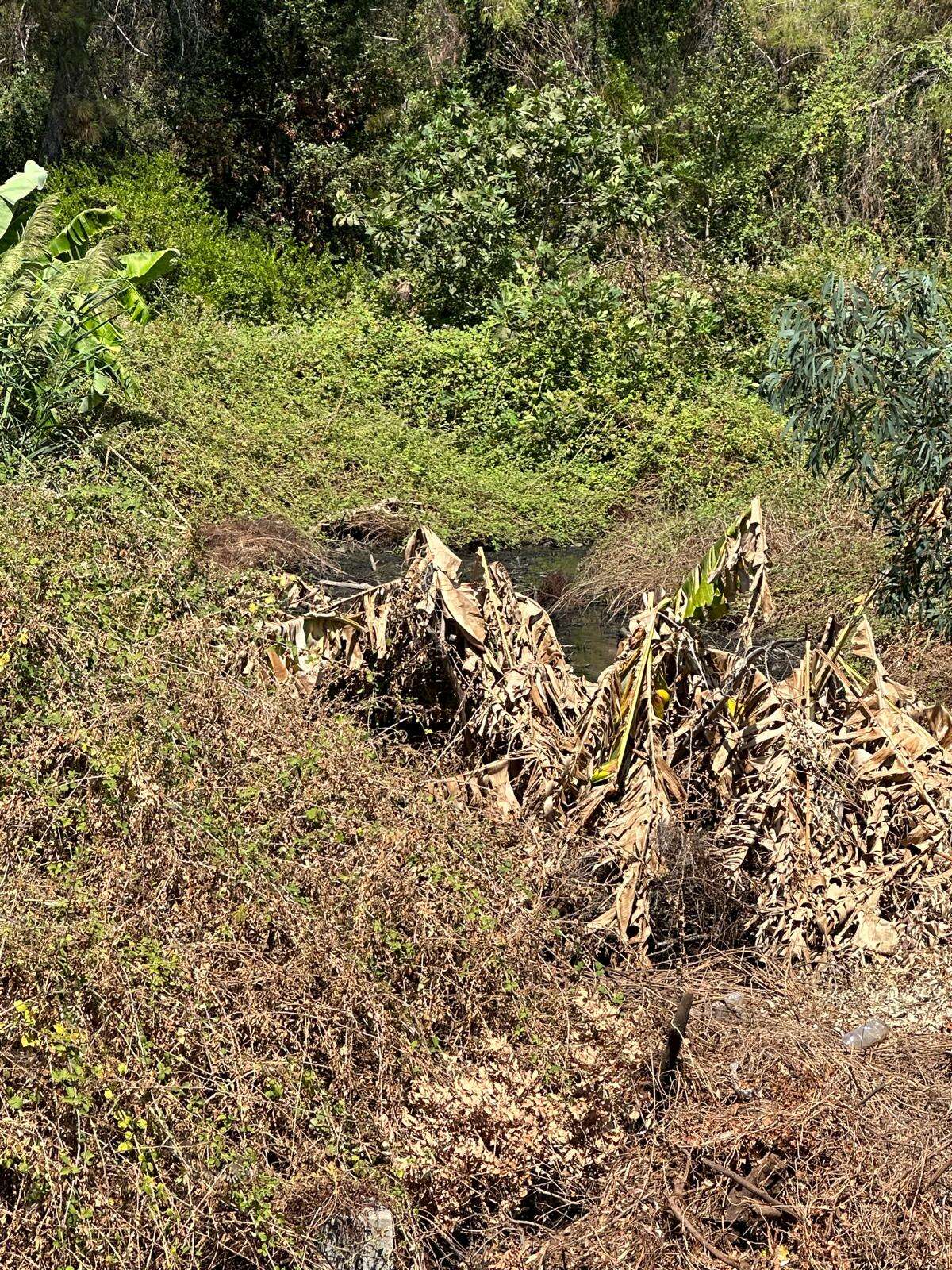 whatsapp-image-2025-09-15-at-10-56-00