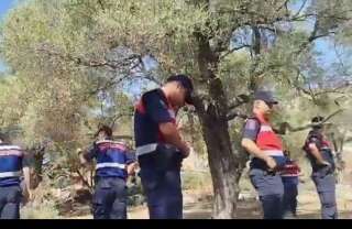 whatsapp-image-2025-09-15-at-18-34-00-1