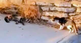 whatsapp-image-2025-09-15-at-21-39-16