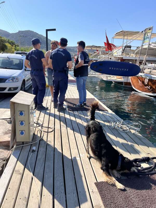 whatsapp-image-2025-09-16-at-13-31-20-2