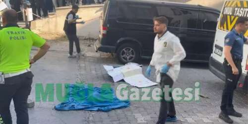 esin-2025-09-17t124517-946