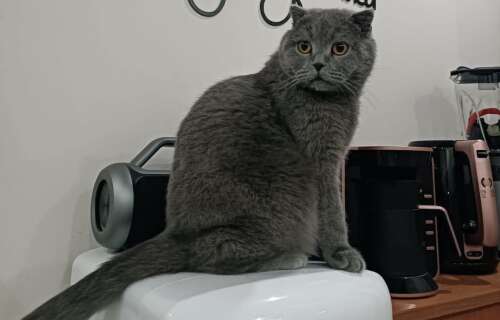 whatsapp-image-2025-09-17-at-16-36-03-1