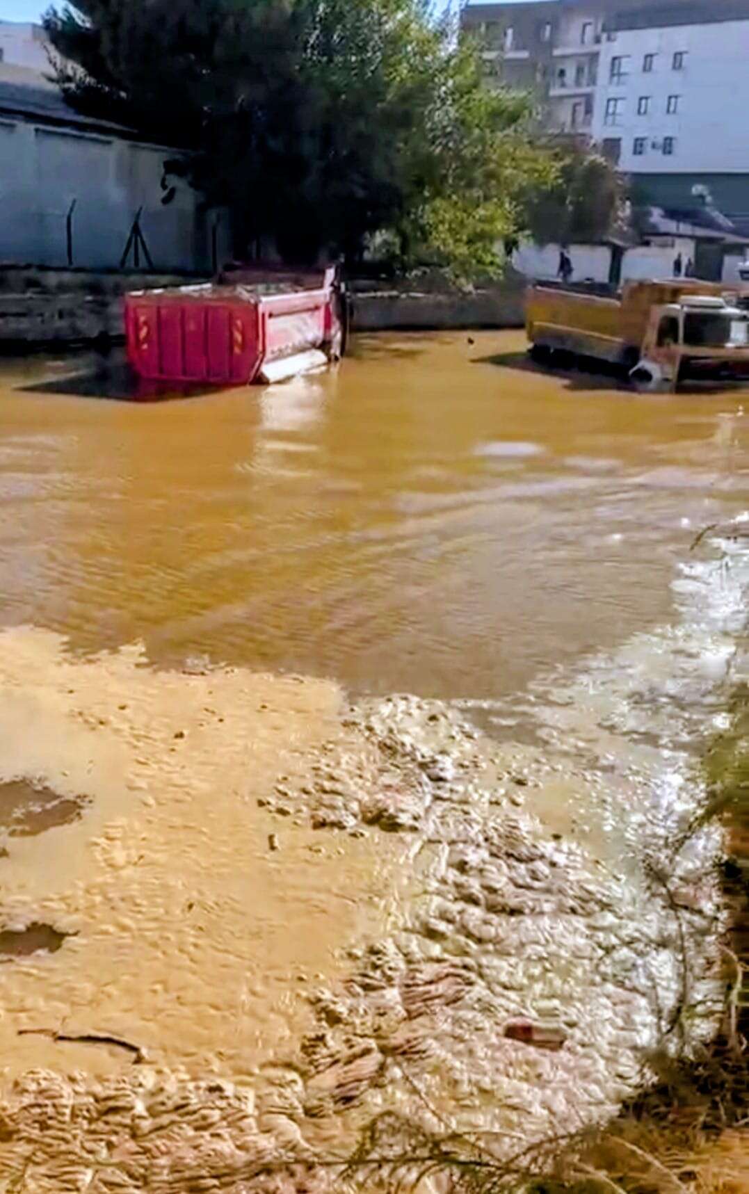 whatsapp-image-2025-09-19-at-12-36-26