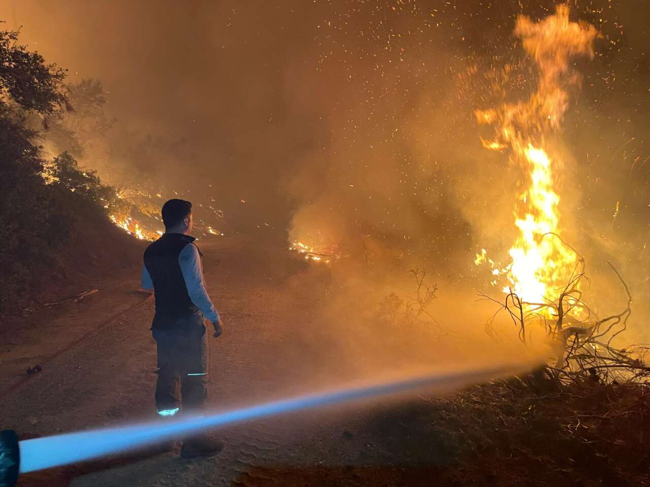 whatsapp-image-2025-09-19-at-12-46-43-1