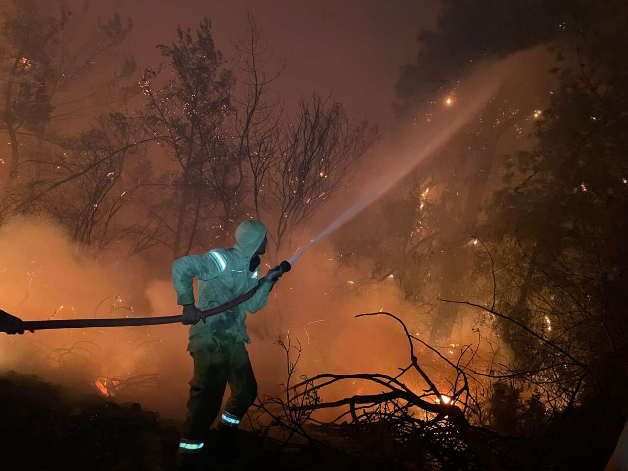 whatsapp-image-2025-09-19-at-12-46-43