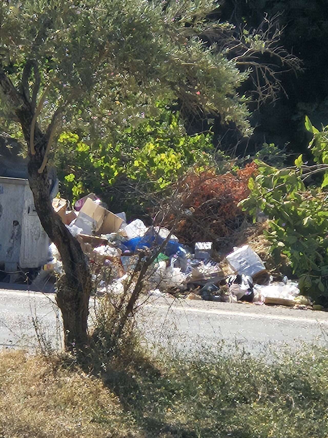 whatsapp-image-2025-09-19-at-14-32-20