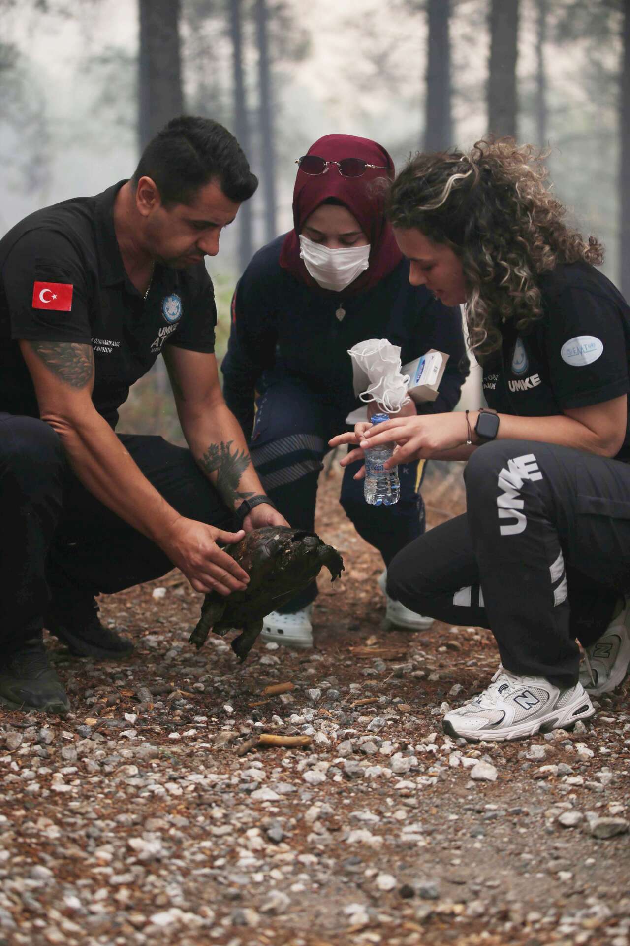 aa-20250919-39161098-39161095-koycegizde-orman-yanginindan-etkilenen-kaplumbagayi-umke-ekibi-kurtardi