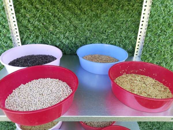 whatsapp-image-2025-09-20-at-11-04-11