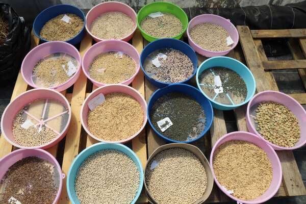 whatsapp-image-2025-09-20-at-11-04-12