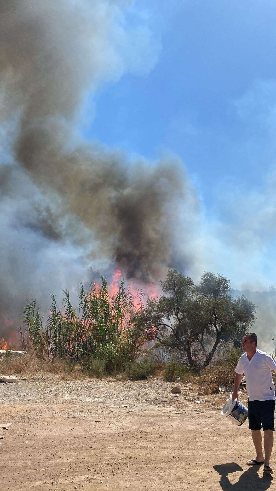 whatsapp-image-2025-09-20-at-14-32-51-1