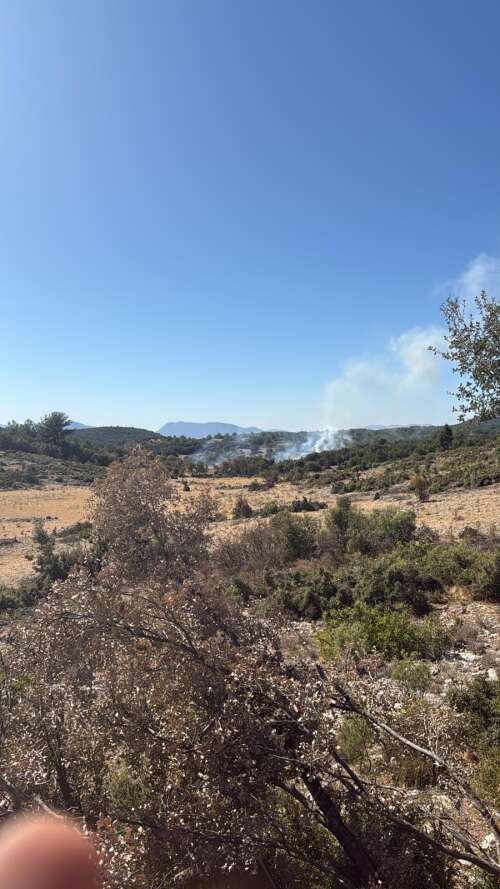 whatsapp-image-2025-09-21-at-15-42-24