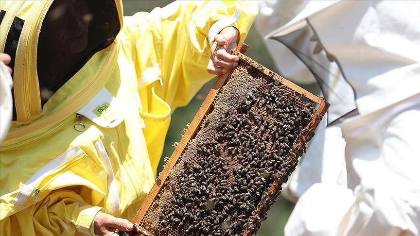 thumbs-b-c-05ade9d55543d14575ecc538ef888b5e