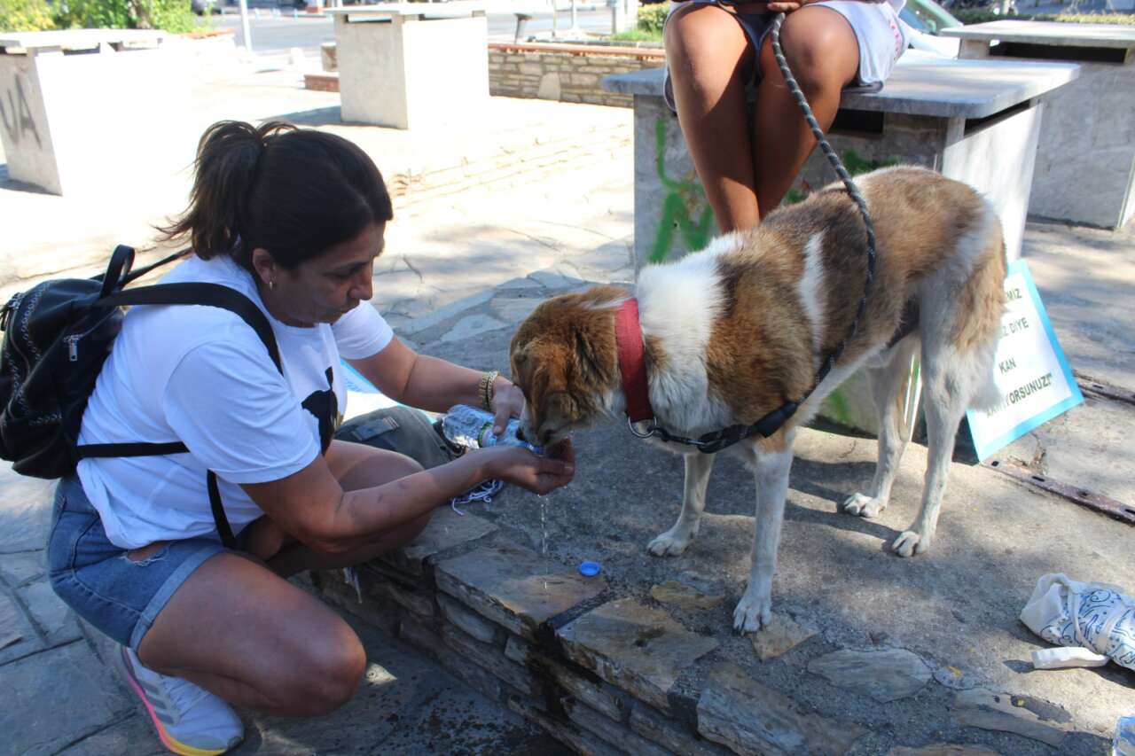 whatsapp-image-2025-09-22-at-08-53-04-1