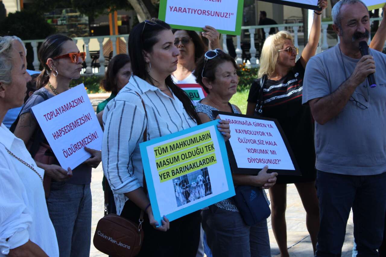 whatsapp-image-2025-09-22-at-08-53-04-10