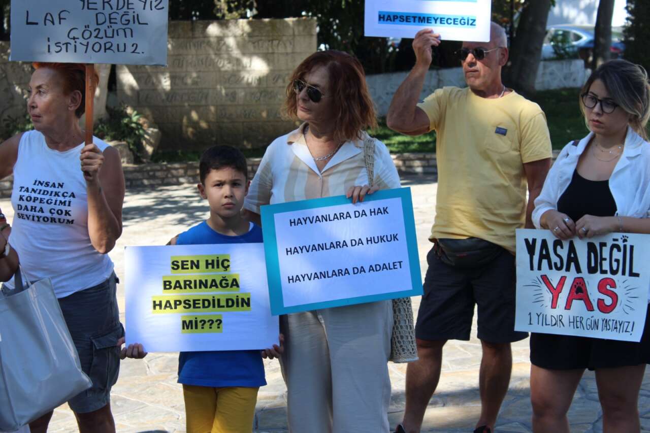 whatsapp-image-2025-09-22-at-08-53-04-12