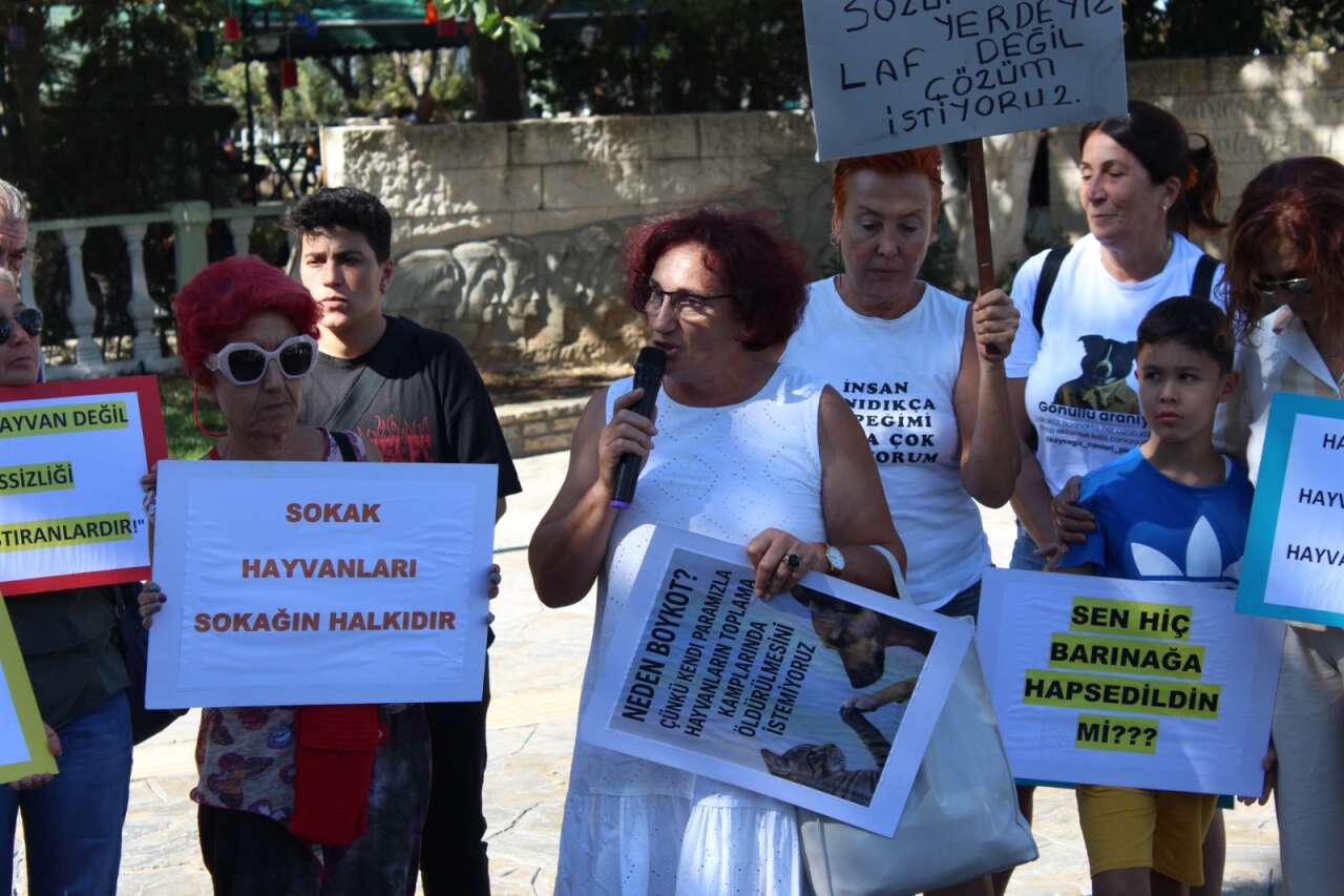 whatsapp-image-2025-09-22-at-08-53-04-13