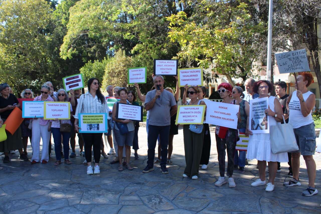 whatsapp-image-2025-09-22-at-08-53-04-2