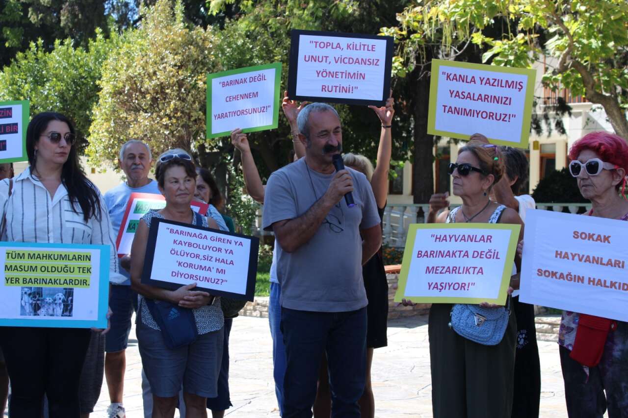 whatsapp-image-2025-09-22-at-08-53-04-4