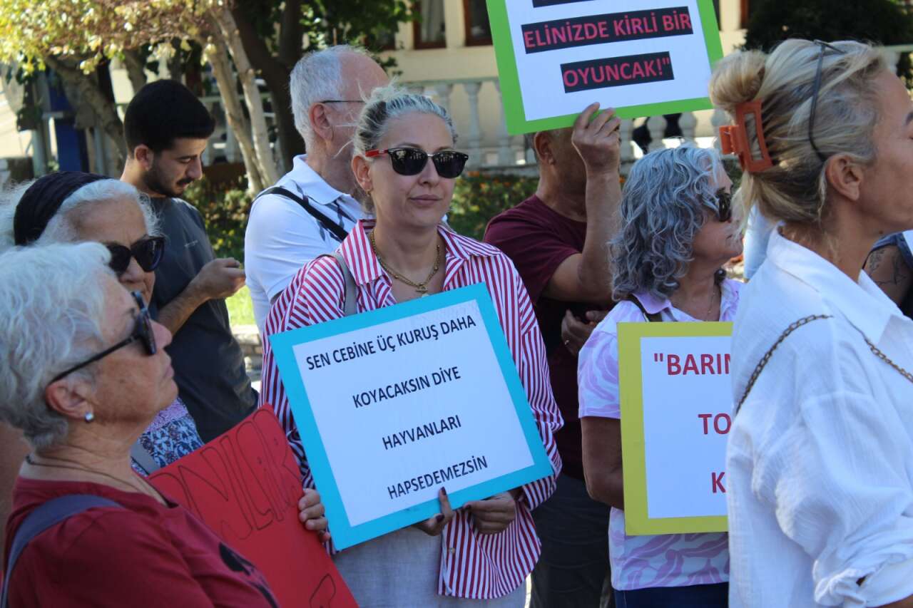 whatsapp-image-2025-09-22-at-08-53-04-9