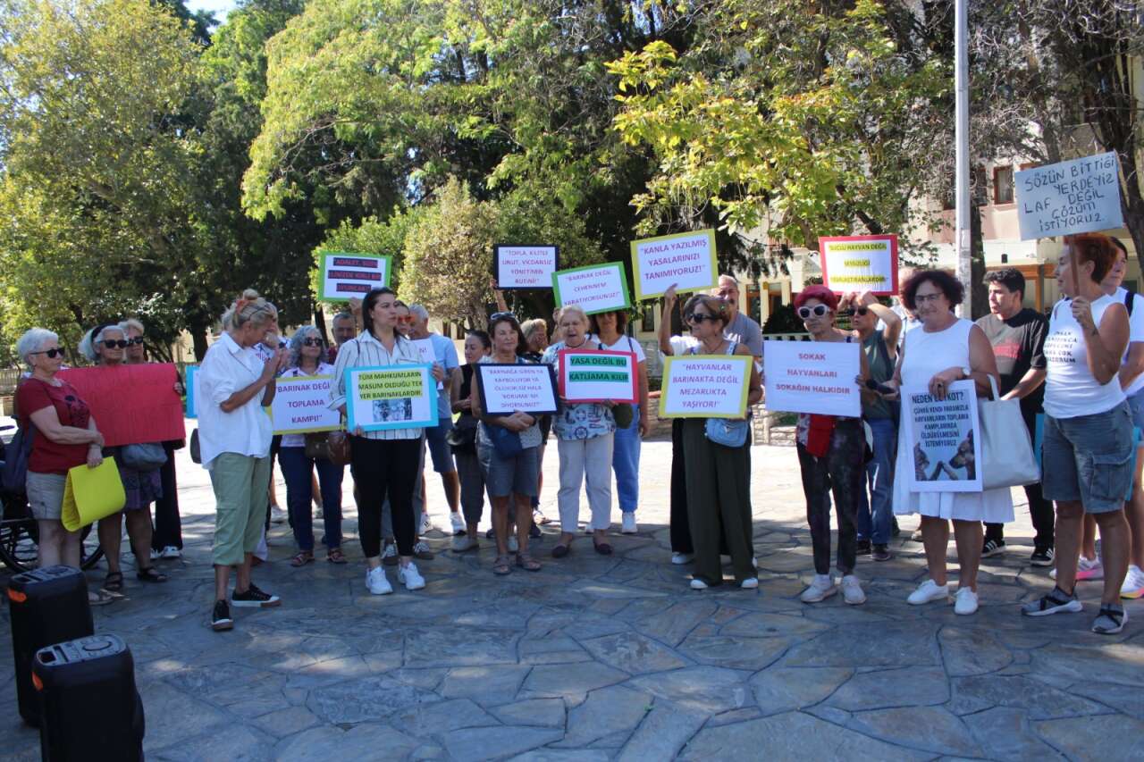 whatsapp-image-2025-09-22-at-08-53-04