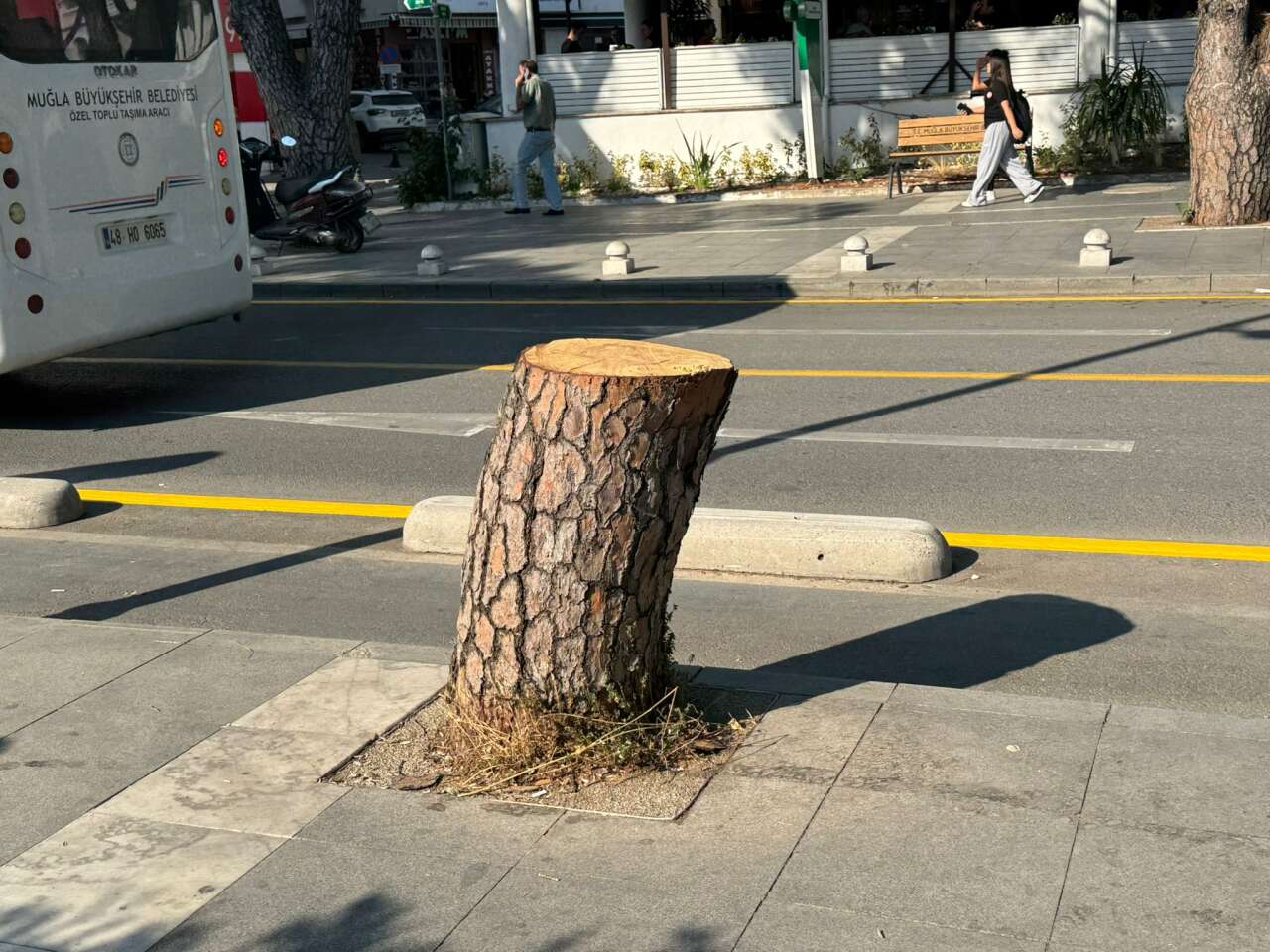 whatsapp-image-2025-09-24-at-16-28-31-1