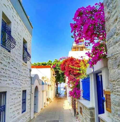 whatsapp-image-2025-09-24-at-19-04-47