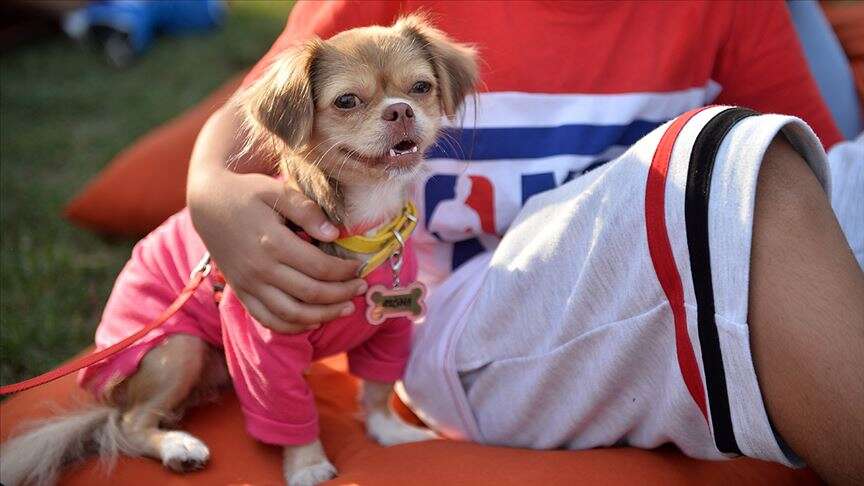 thumbs-b-c-c113525355dbe59384f30fdee2b25341