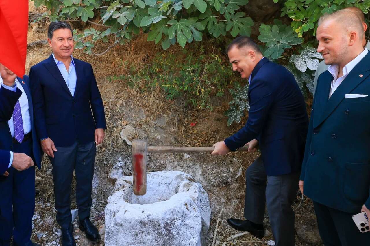 43d554b0-8bed-4232-bbc4-b75246189a45