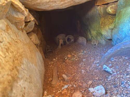 whatsapp-image-2025-09-27-at-13-46-25-2