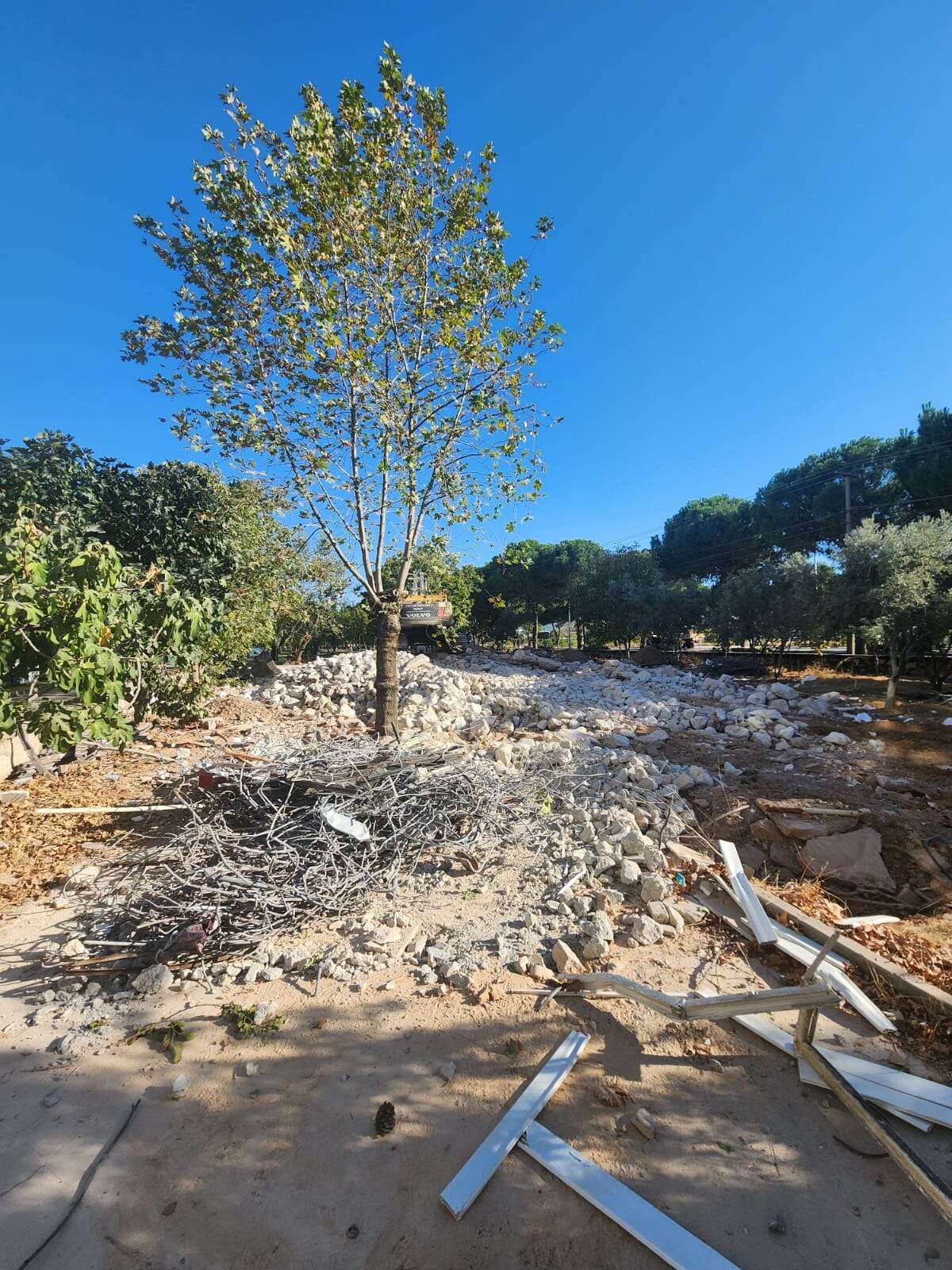 whatsapp-image-2025-09-28-at-16-46-10