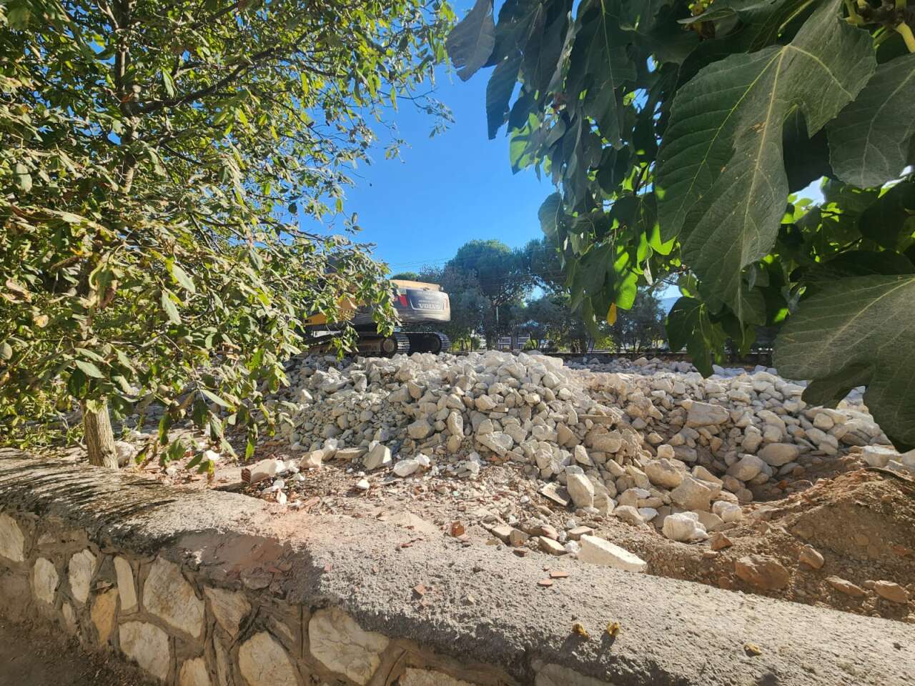 whatsapp-image-2025-09-28-at-16-46-11