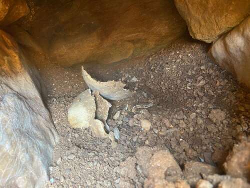 whatsapp-image-2025-09-29-at-12-48-04