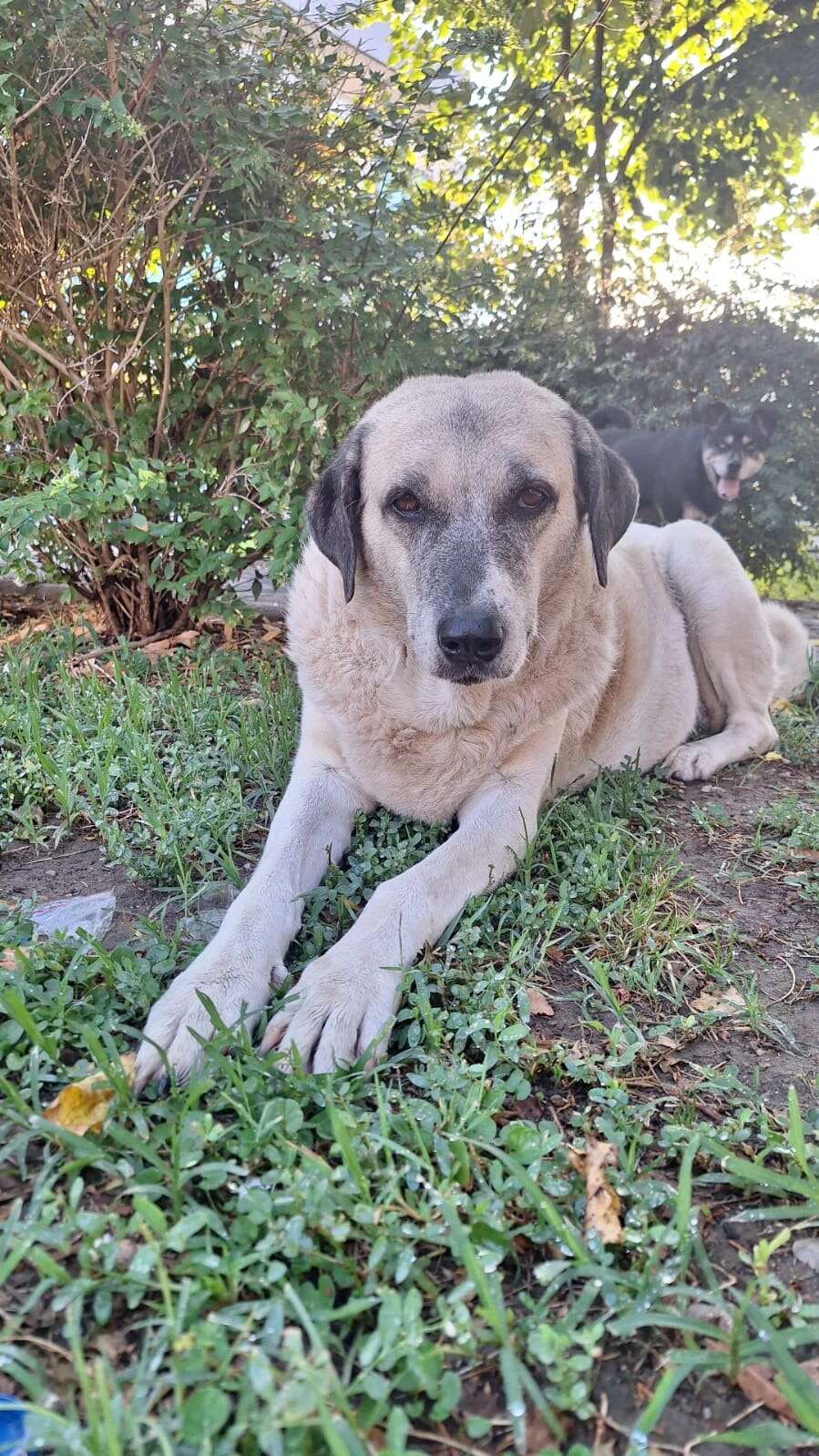 whatsapp-image-2025-09-30-at-09-25-08-1