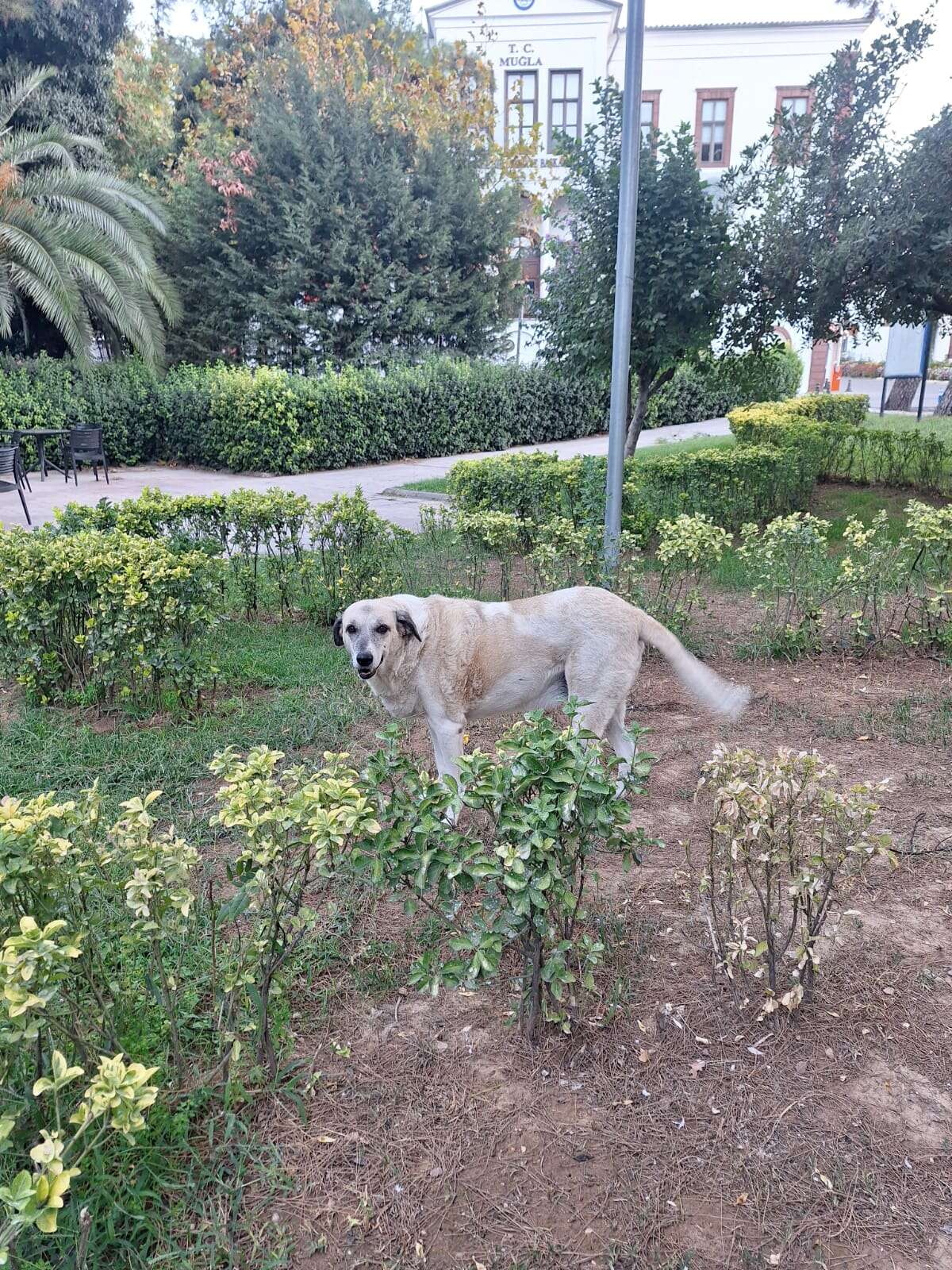 whatsapp-image-2025-09-30-at-09-25-08