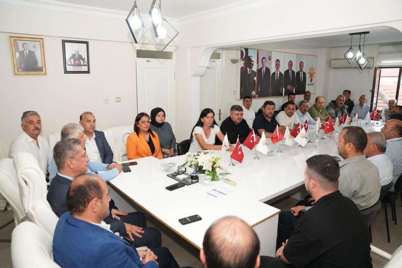 whatsapp-image-2025-10-01-at-09-03-40-1