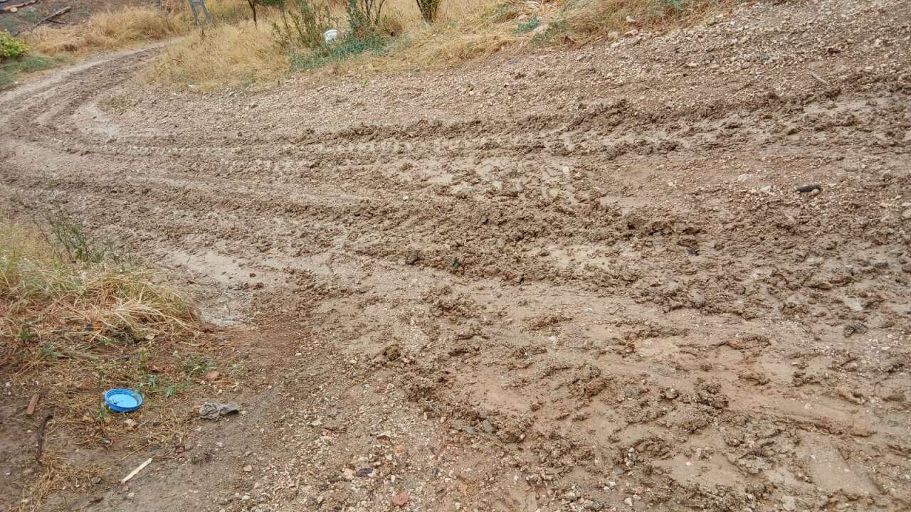 whatsapp-image-2025-10-04-at-11-25-04-1