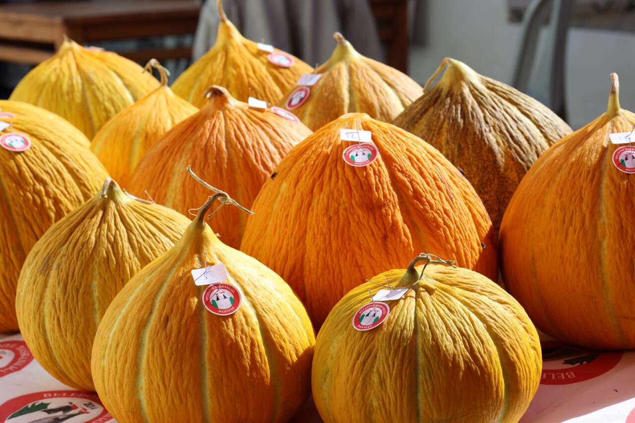 whatsapp-image-2025-10-05-at-16-48-30