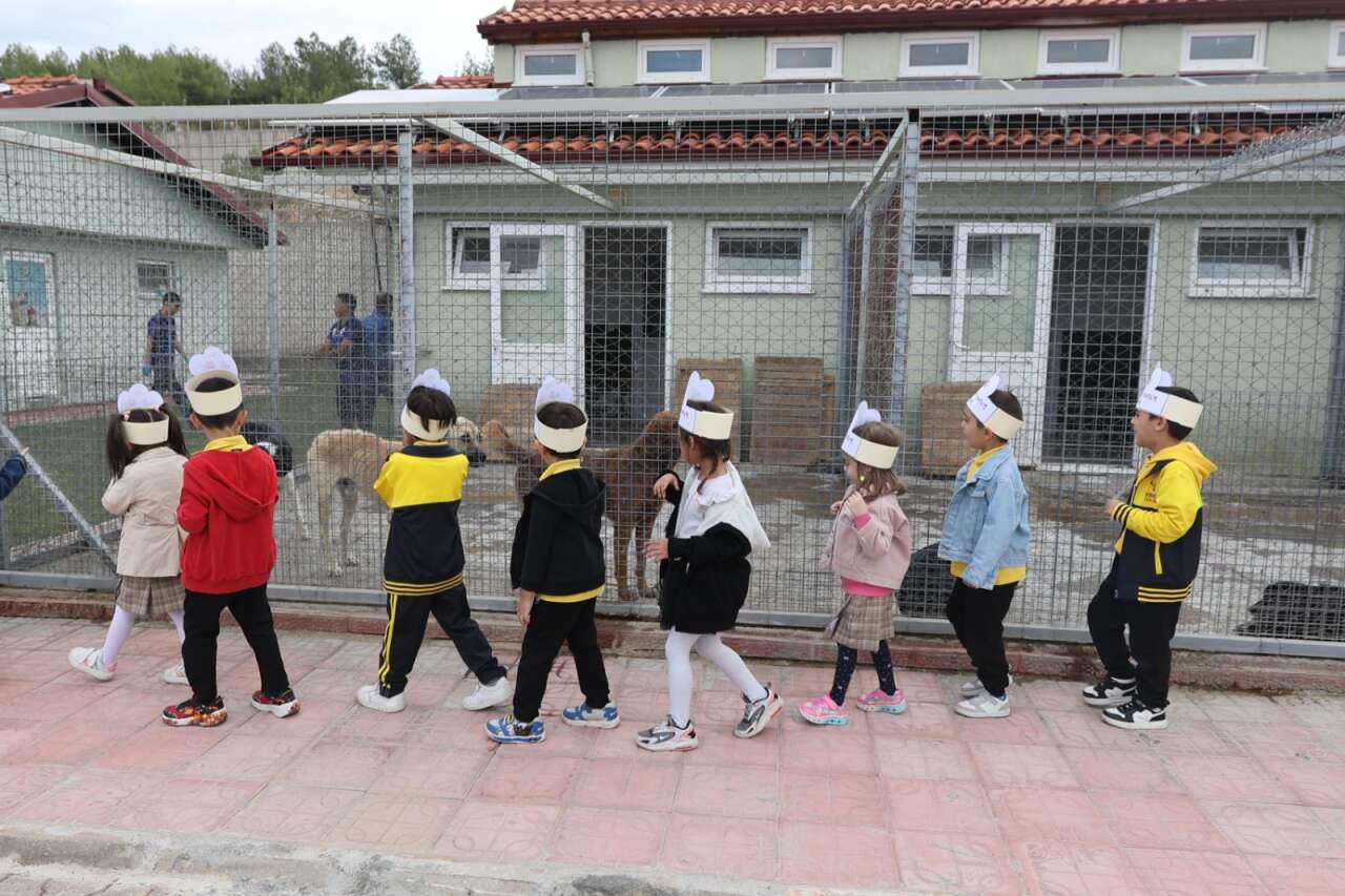 whatsapp-image-2025-10-07-at-14-31-25-1