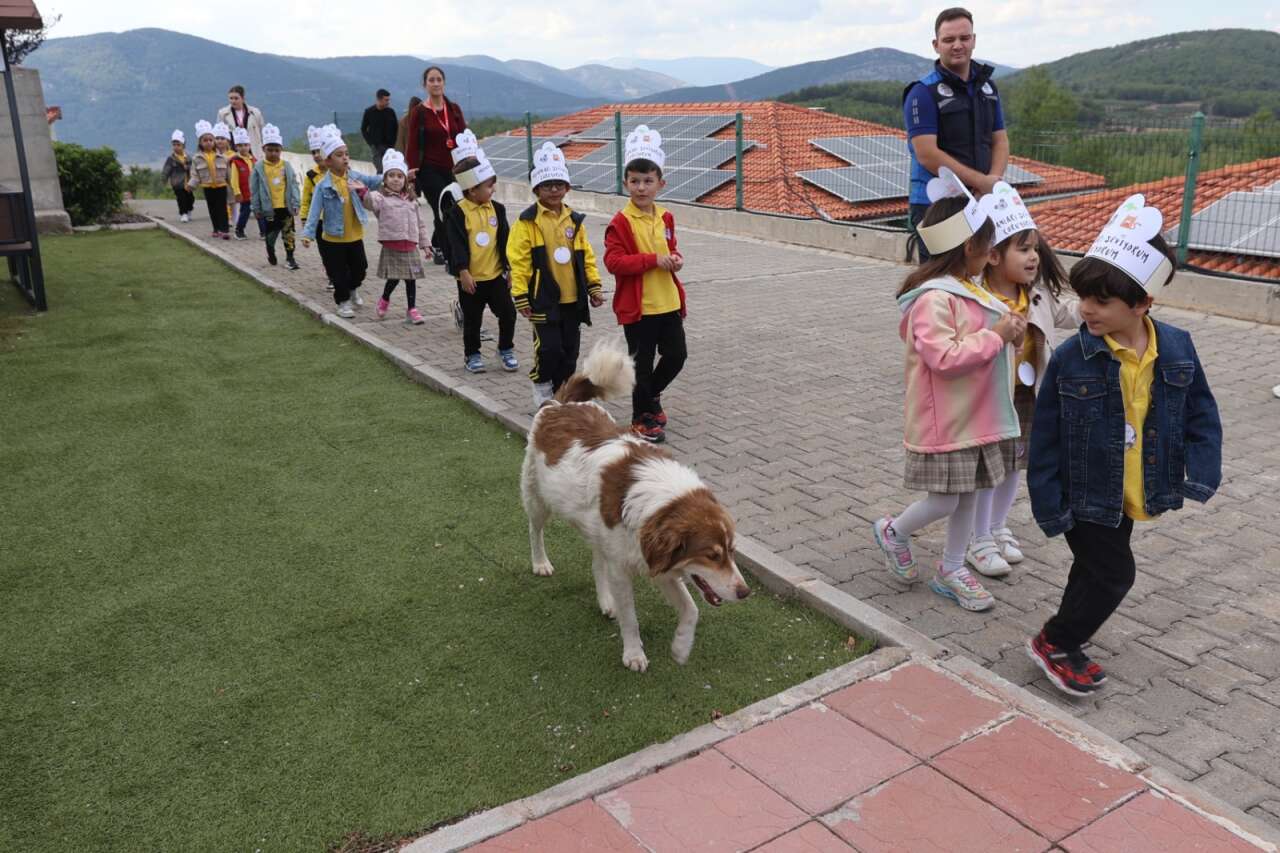 whatsapp-image-2025-10-07-at-14-31-25