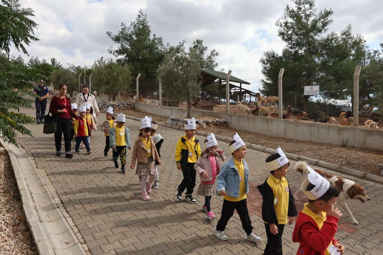 whatsapp-image-2025-10-07-at-14-31-27