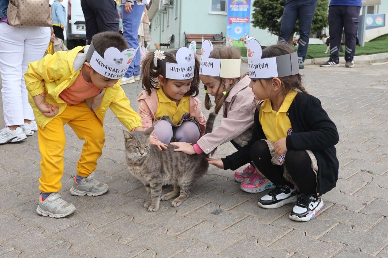 whatsapp-image-2025-10-07-at-14-31-28