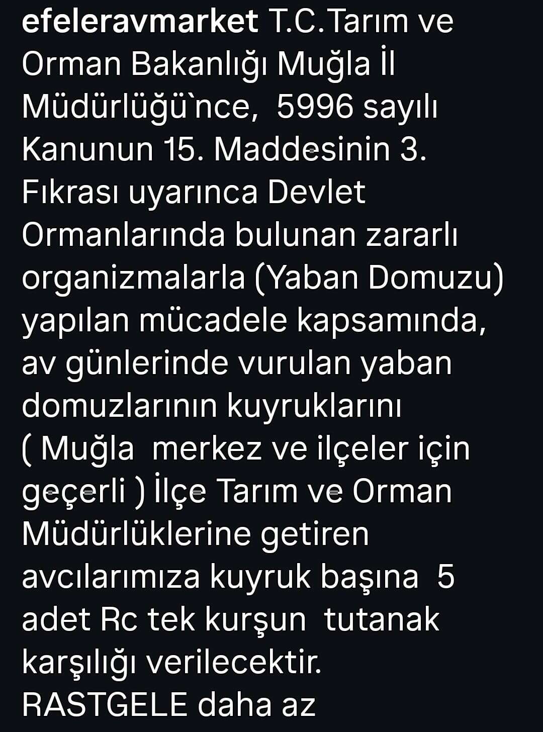 whatsapp-image-2025-10-07-at-16-47-32-1