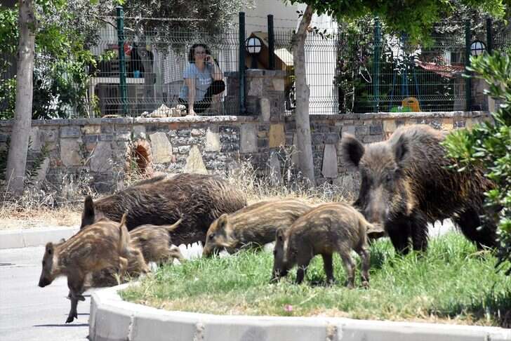 whatsapp-image-2025-10-07-at-16-52-05